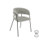 Bridge Frene