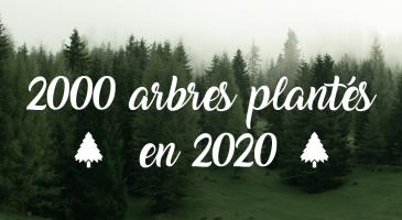 2000 arbres plantés par Denantes en 2020